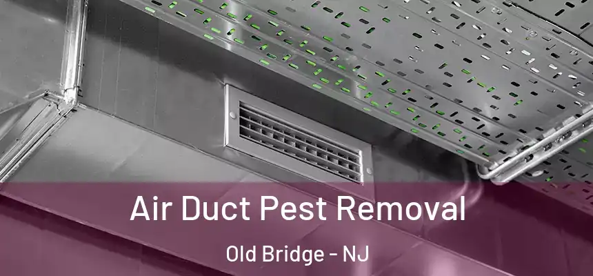  Air Duct Pest Removal Old Bridge - NJ