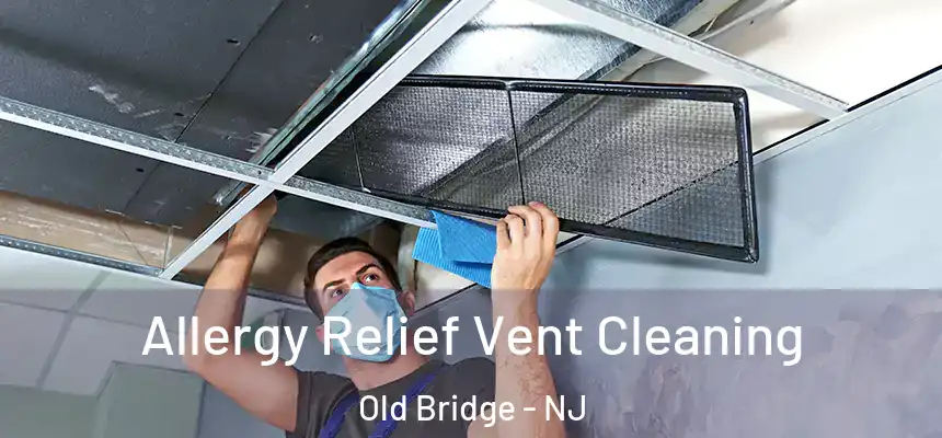  Allergy Relief Vent Cleaning Old Bridge - NJ