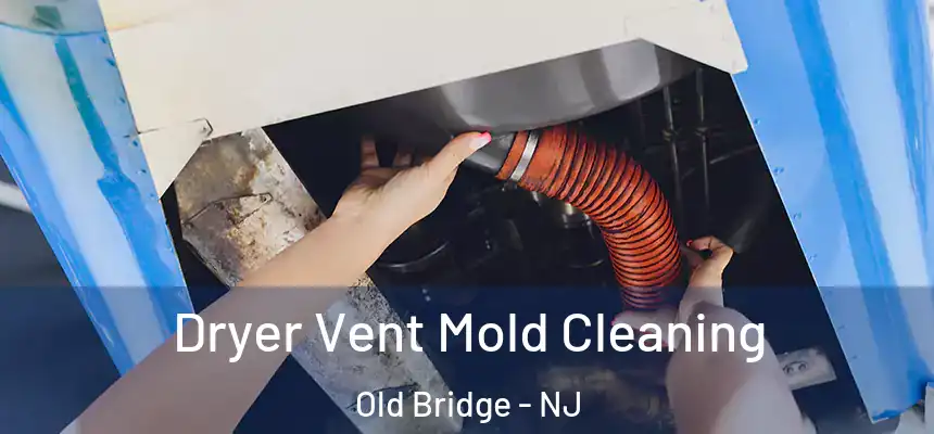  Dryer Vent Mold Cleaning Old Bridge - NJ