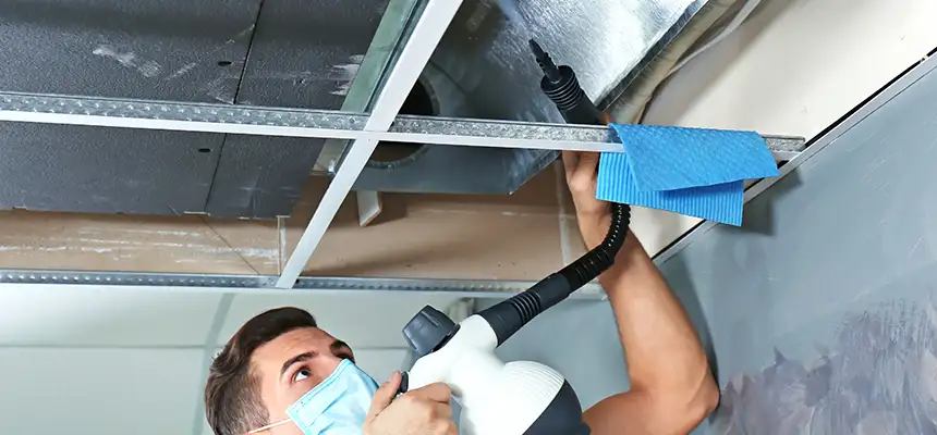 Our Air Duct Rodent Removal Services in Old Bridge, NJ