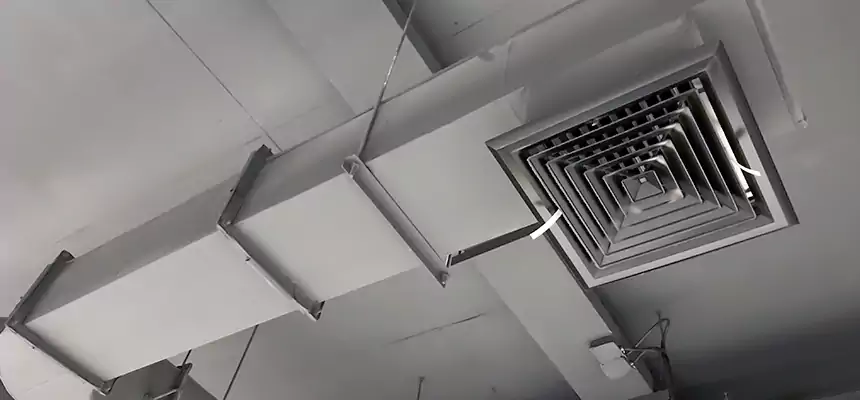 Our Pest Removal From Ducts Services in Old Bridge, NJ