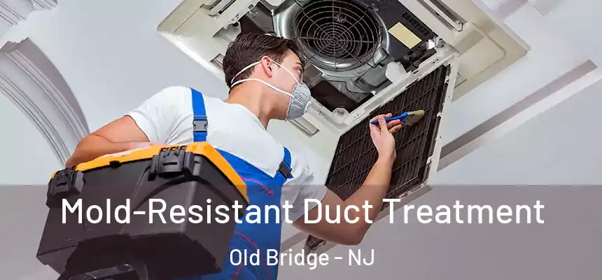  Mold-Resistant Duct Treatment Old Bridge - NJ