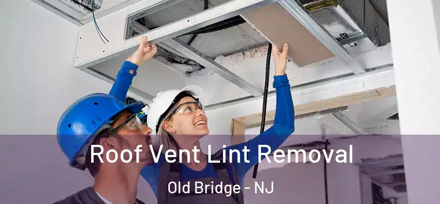 Roof Vent Lint Removal Old Bridge - NJ