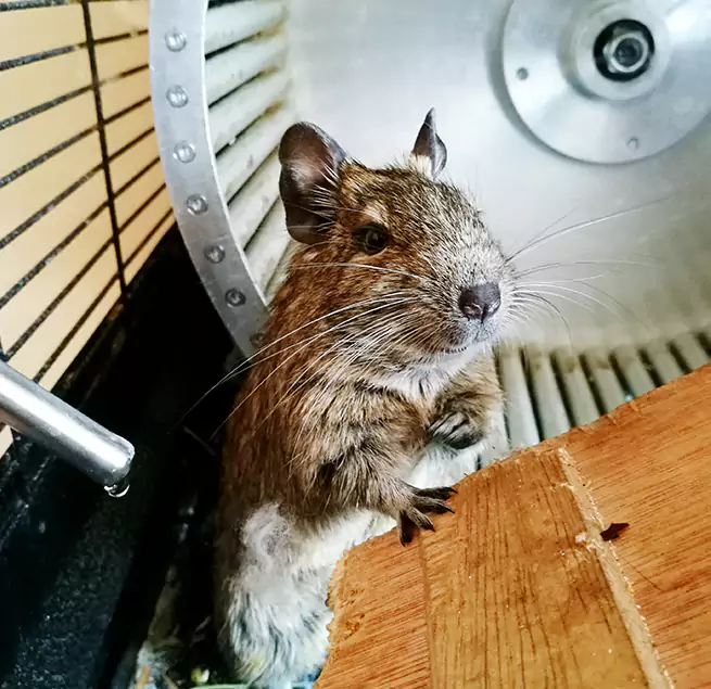 Why Homeowners & Businesses Trust Us Old Bridge, NJ